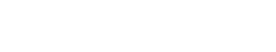nexoraflow (2)